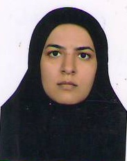  فاطمه بیدآبادی     