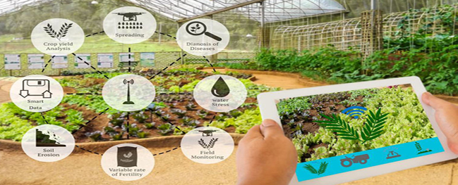 Implementation and Patent Registration of the Smart Farm and Greenhouse Management Plan by the Faculty Member of Qom University of Technology