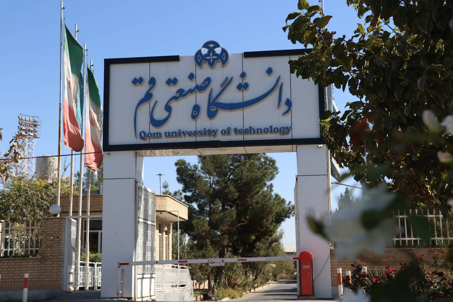 IMG_1000